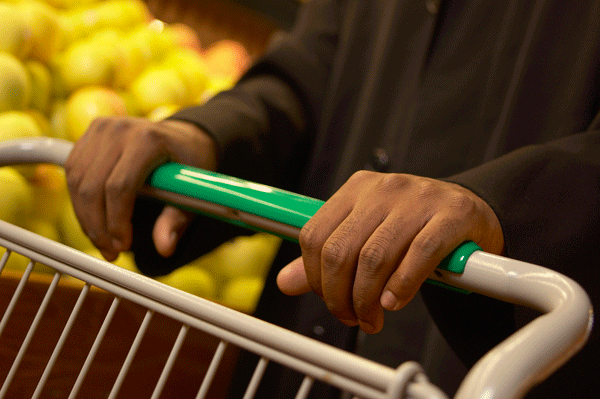 Hands on Grocery Cart